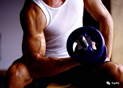 蛋白粉与增肌粉的区别推荐,增肌粉和蛋白粉的瓶子区别