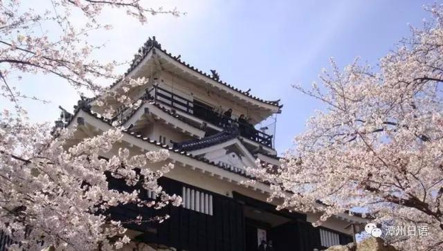 日本留学必须了解的8件事,干货日本留学生必须知道的信息