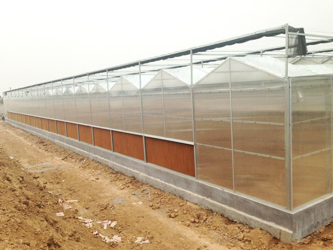 阳光板每平价格是多少钱,阳光板批发价格多少钱一张