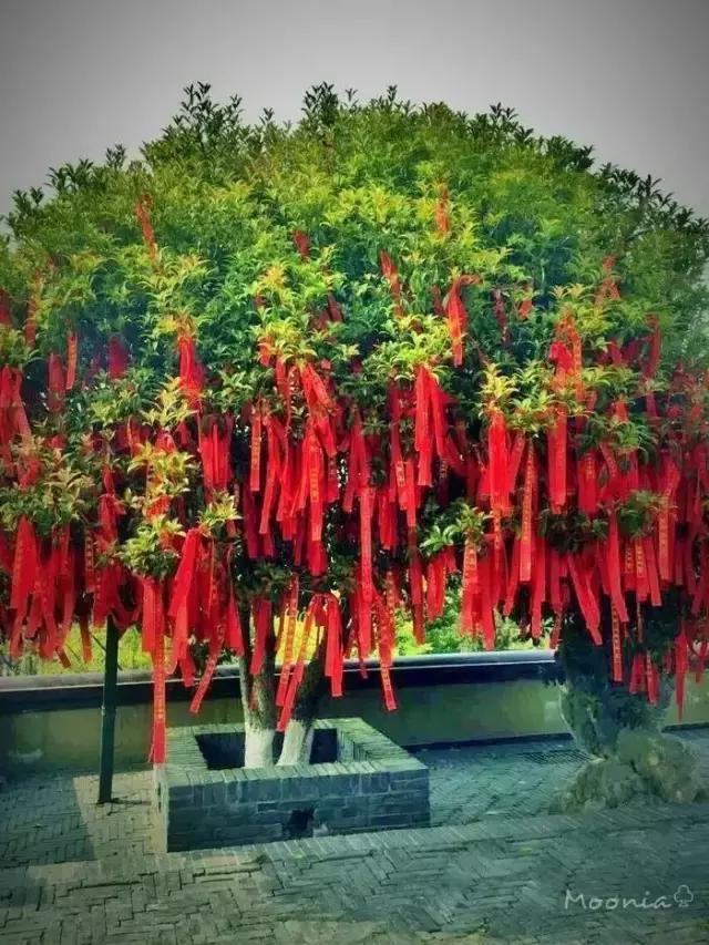 渔网袜潮酷搭配,破洞渔网袜穿搭