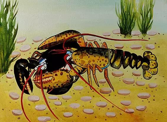 龙虾一晚上就死亡大半是什么原因,龙虾没有身体还会活着吗