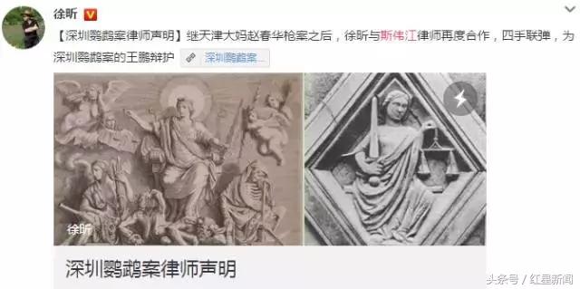 卖鸟被判10年的是什么鸟,养鹦鹉被判刑的案例