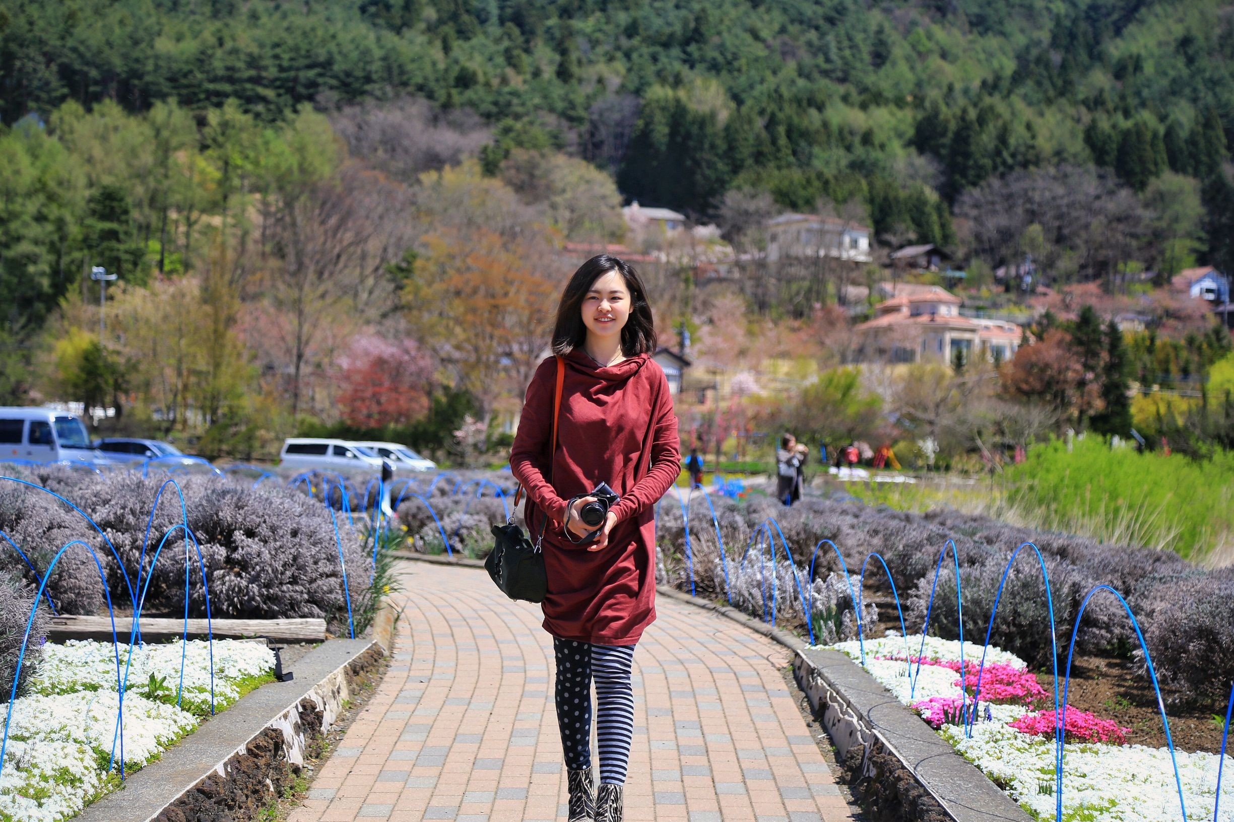 澳门航空空姐游东京 富士山下遇见最美的樱花