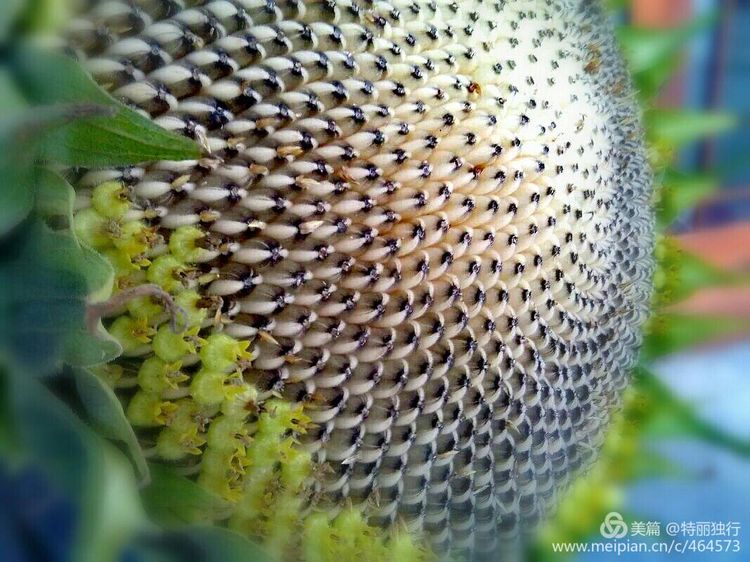 走过四季夏天最美,走过春夏美丽的秋冬