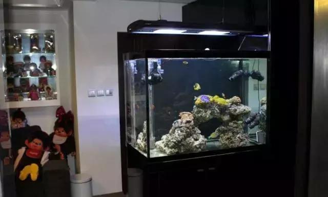 鱼缸对门风水禁忌大全图,鱼缸对门风水禁忌大全