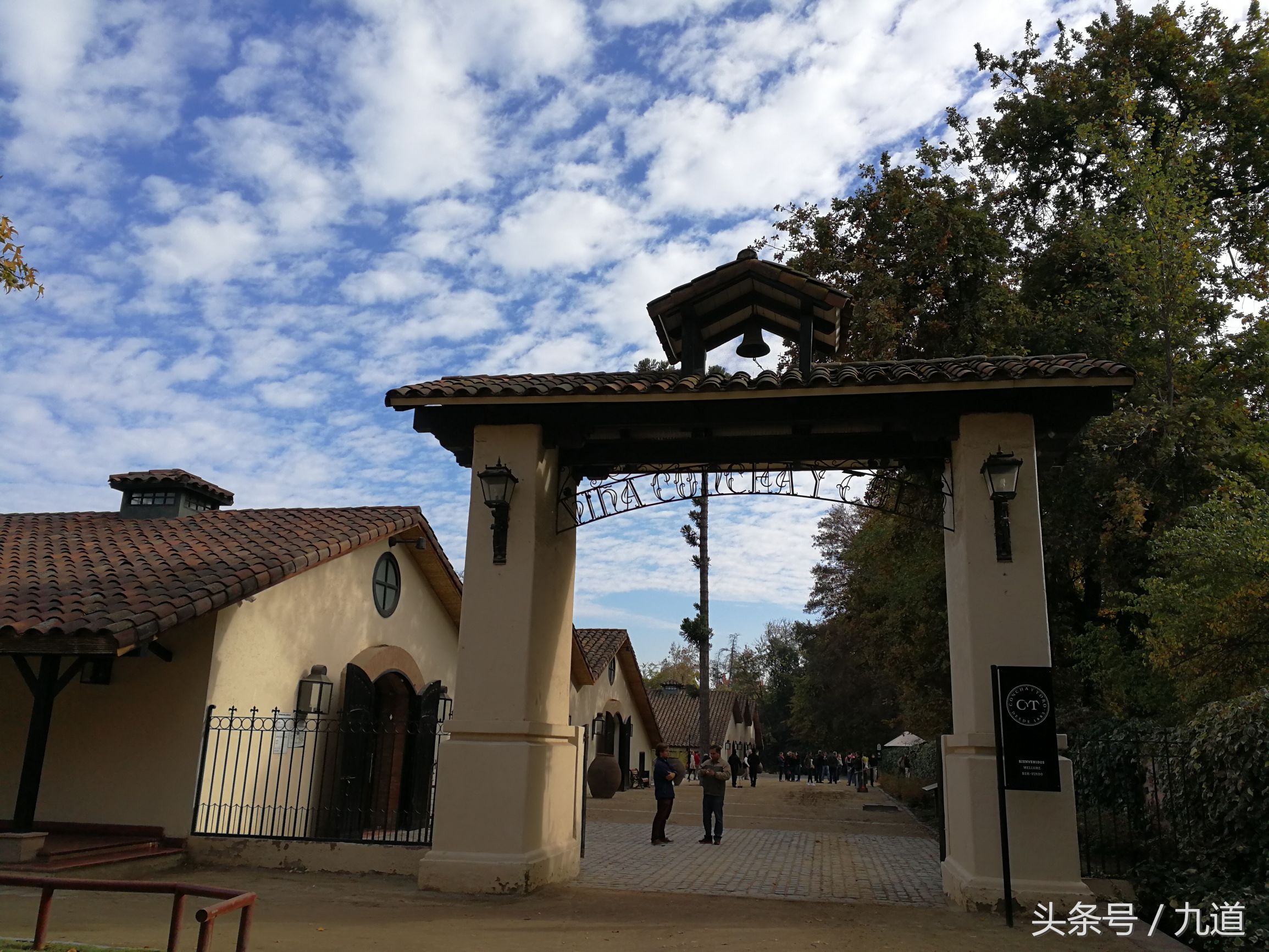 智利佳美娜酒,智利佳美娜品牌推荐