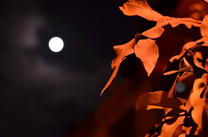 北方的孩子去南方读书,北方孩子在南方