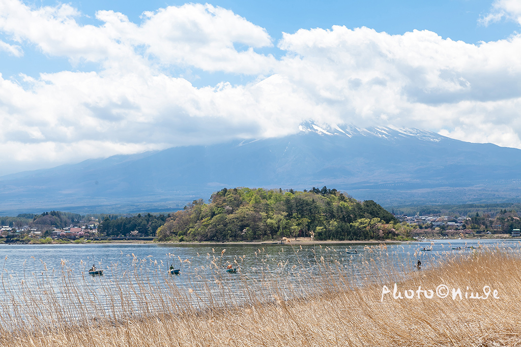 澳门航空空姐游东京 富士山下遇见最美的樱花