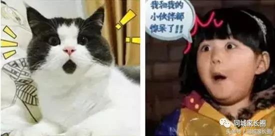 从新东方2万学费到扬州突然刮起一阵考试热！吐槽根本停不下来！