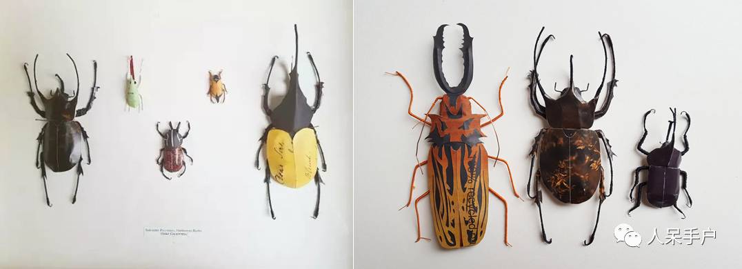 100人民币手工蝴蝶,昆虫大合集手工