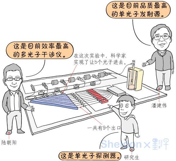 5分钟看懂中国最新的量子计算机,墨子漫画