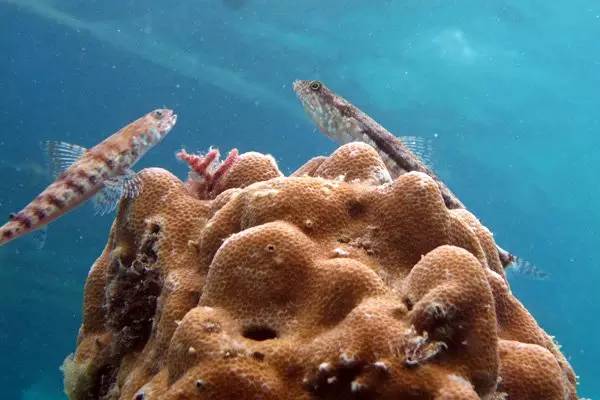海岛自由行,睡到自然醒海边