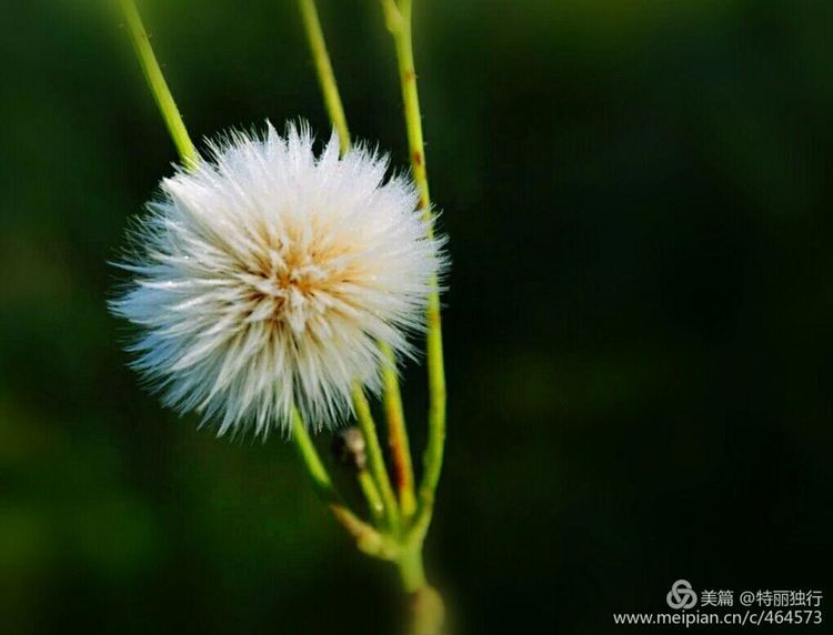 走过四季夏天最美,走过春夏美丽的秋冬