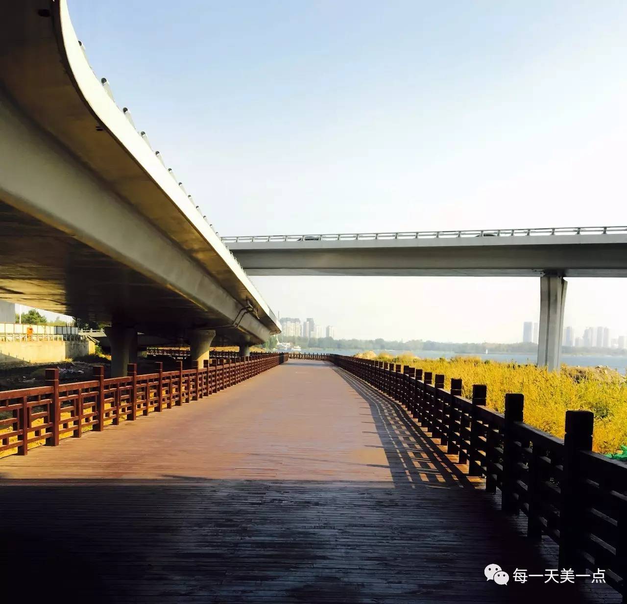 沈阳浑河边骑行夜景,浑河漫步道自行车