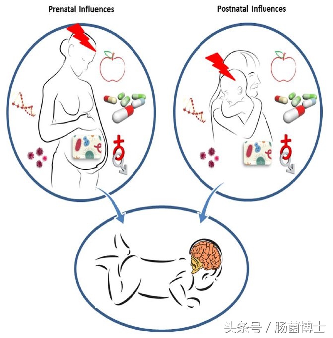 感恩母亲给予我们的一切,感恩母亲给了我们无私的爱