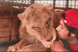 这就是传说中的脱一层皮，隔着屏幕都感觉疼