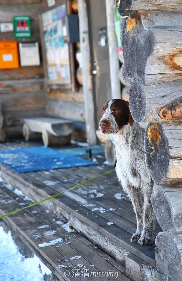 看极光圣诞老人在哪个国家,芬兰极光圣诞老人