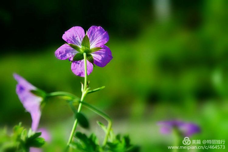走过四季夏天最美,走过春夏美丽的秋冬