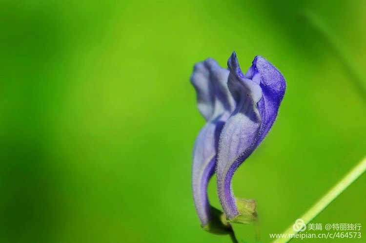 走过四季夏天最美,走过春夏美丽的秋冬