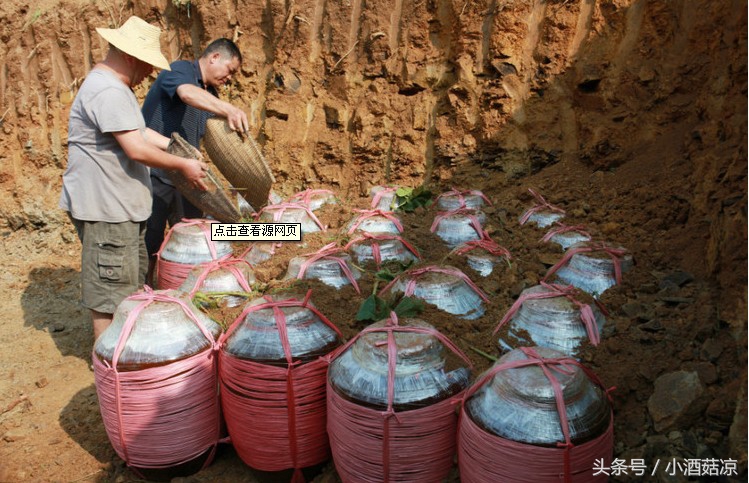 埋酒好还是存酒好,埋酒存些什么酒比较好