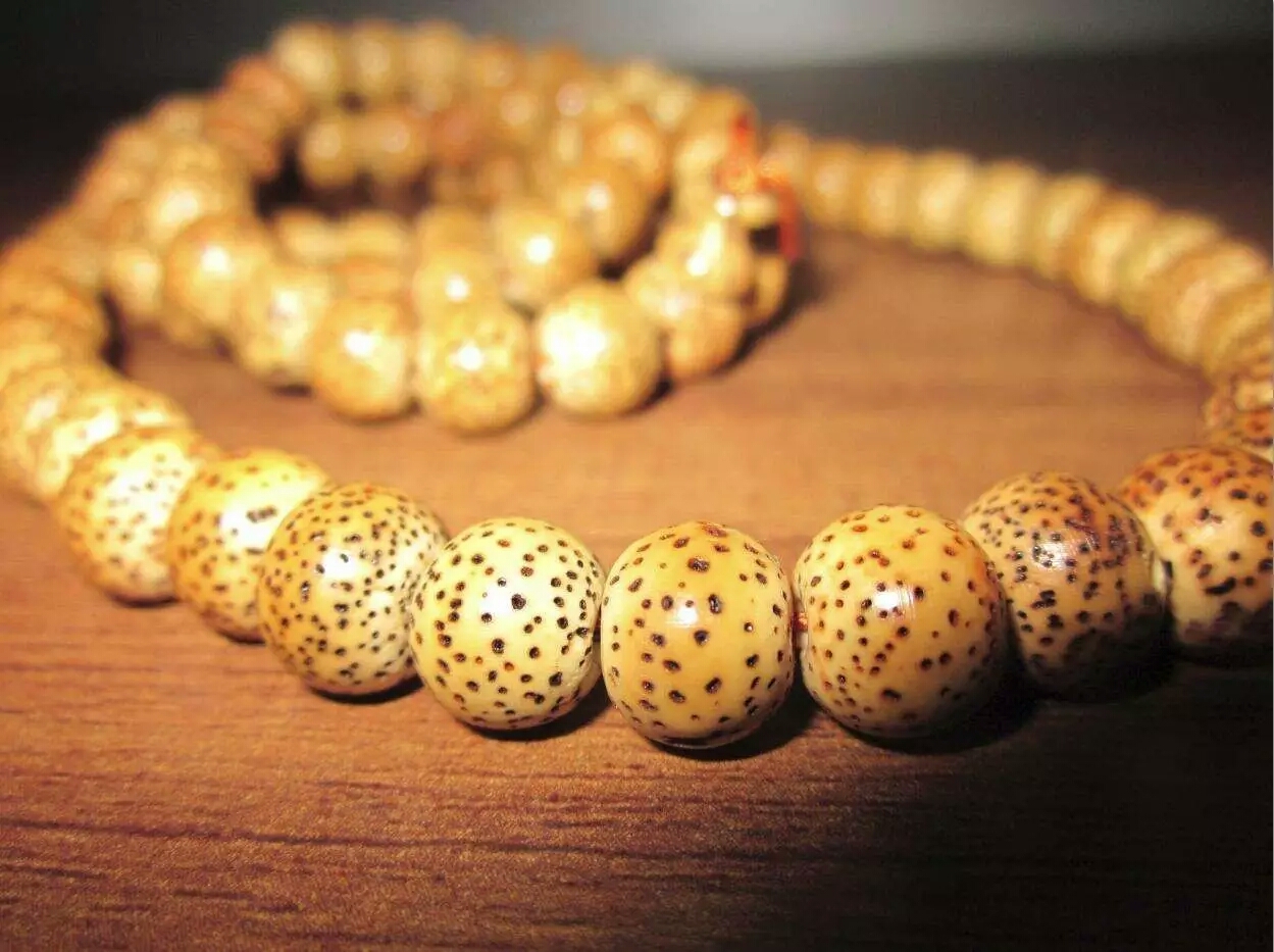 真正的星月菩提是什么样的,现在的星月菩提是真的吗