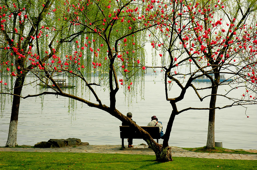 阳春三月全部歌曲视频,阳春三月完整版歌词