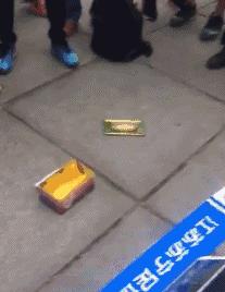 苏宁本周赛程,天亮了复播