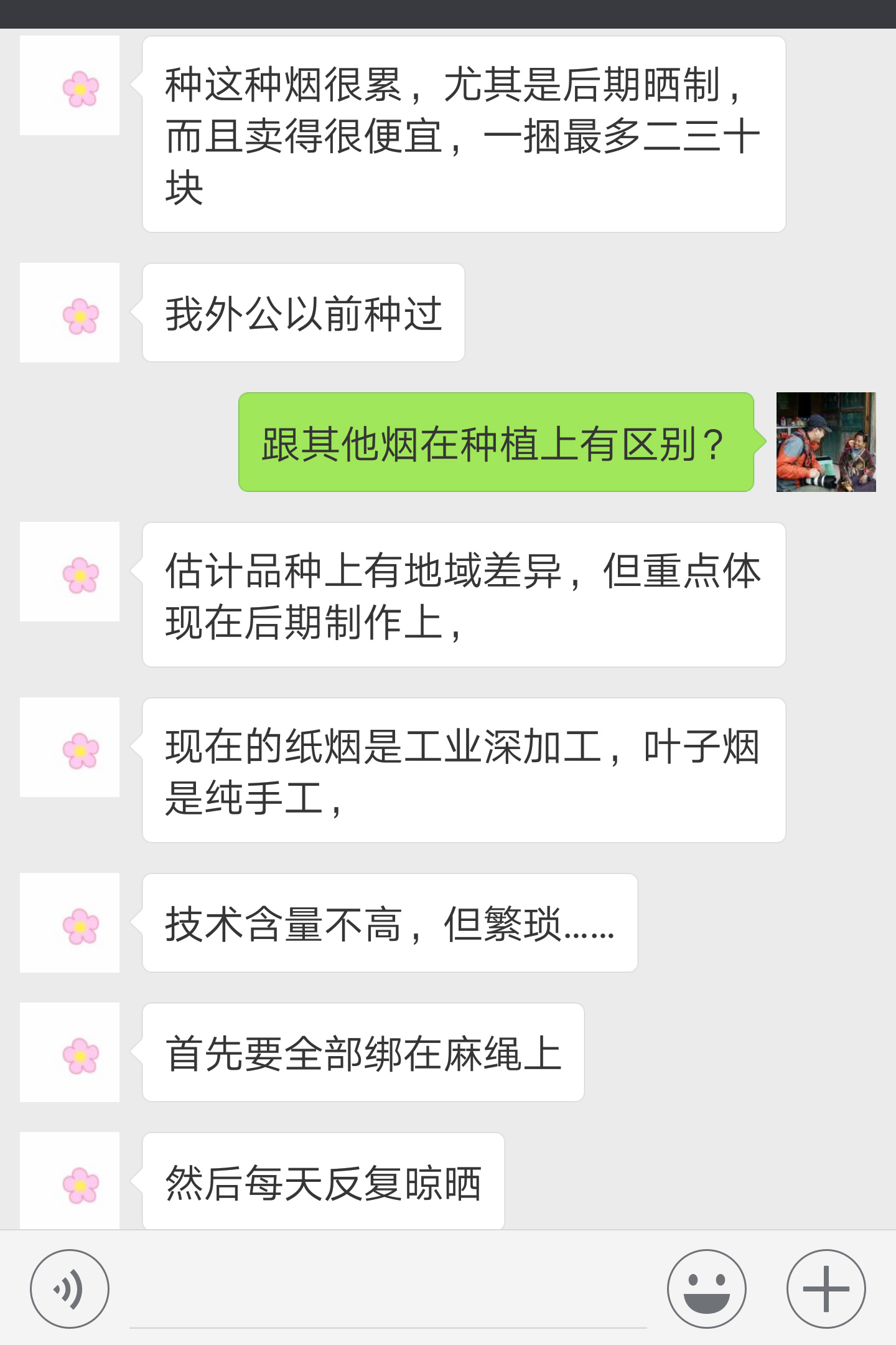 劲大焦油量低的烟,劲大的雪茄