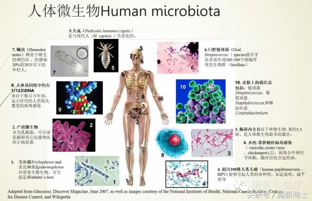 感恩母亲给予我们的一切,感恩母亲给了我们无私的爱