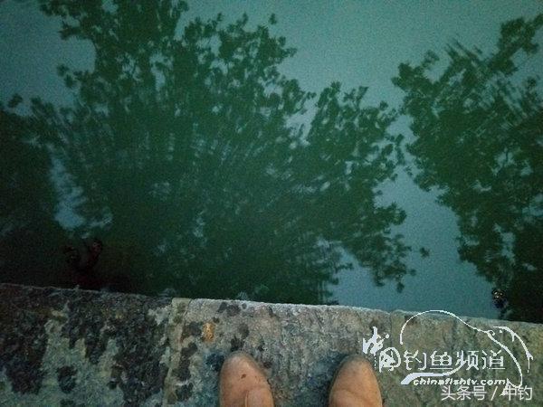 野钓日记第17期,野钓日记19天