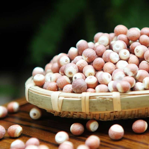 长得像板栗的外壳很多刺是什么,长的像板栗但壳不是刺