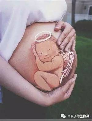 生孩子是怎么回事？反正不是好事，只有切身体验过才会懂！