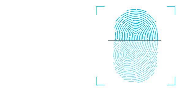 上海博物馆十大镇馆之宝,博物馆参观主题活动