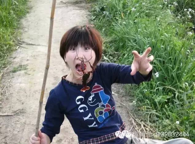 参加闸口大虾美食节的十个店,虾子镇美食节可以免费吃吗