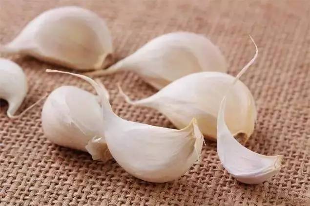 鞋子有异味快速去除,鞋子有臭味怎么去除小妙招