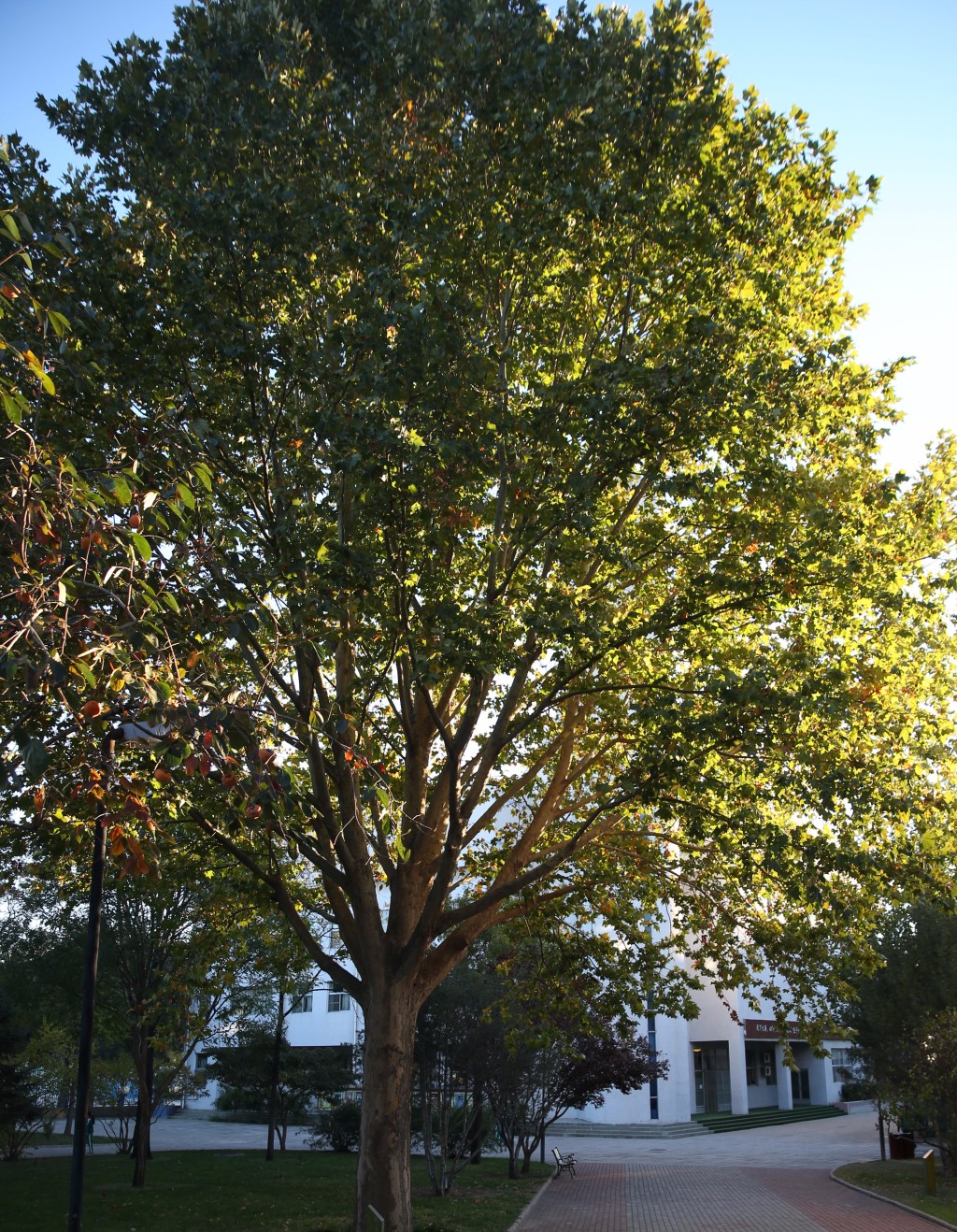 爱我亚太——25周年校庆系列活动之“爱”校