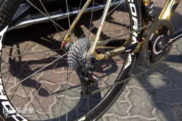 环阿联酋自行车,环阿联酋个人计时赛的公路车