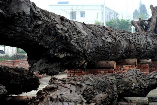 普通乌木和极品乌木的区别和价格,珍华乌木和玫瑰乌木
