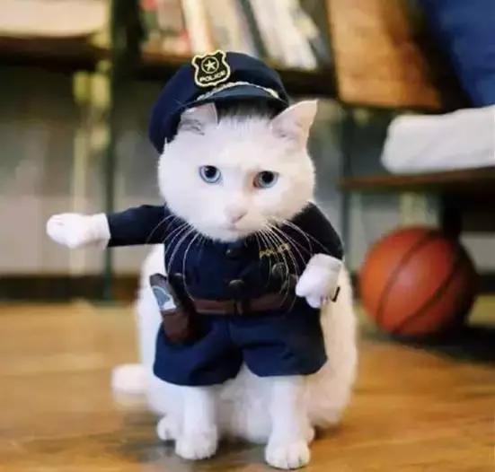 日食记的姜老刀到底是哪里人,姜老刀的日食记视频拍摄讲解