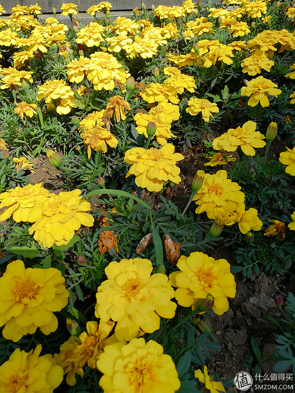 华为mate8与荣耀v9哪款更流畅不卡,荣耀v9鸿蒙2.0.0.125版本好用吗