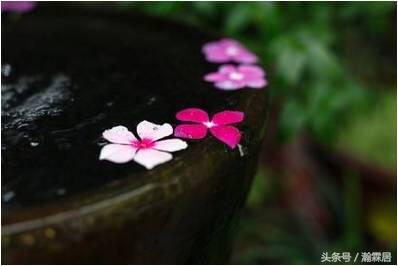 鏇胯嚜宸卞瓨涓嬪惂鐪熺殑澶毦鎵句簡,瀛樹笅鍚ф棭鏅氫細鐢ㄥ埌