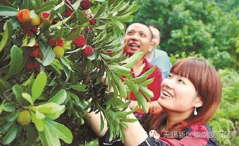 无锡最禅意小镇,无锡推荐小镇