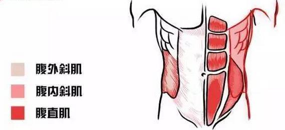 只做锤式卷腹可以练马甲线吗,只做卷腹可以练马甲线吗