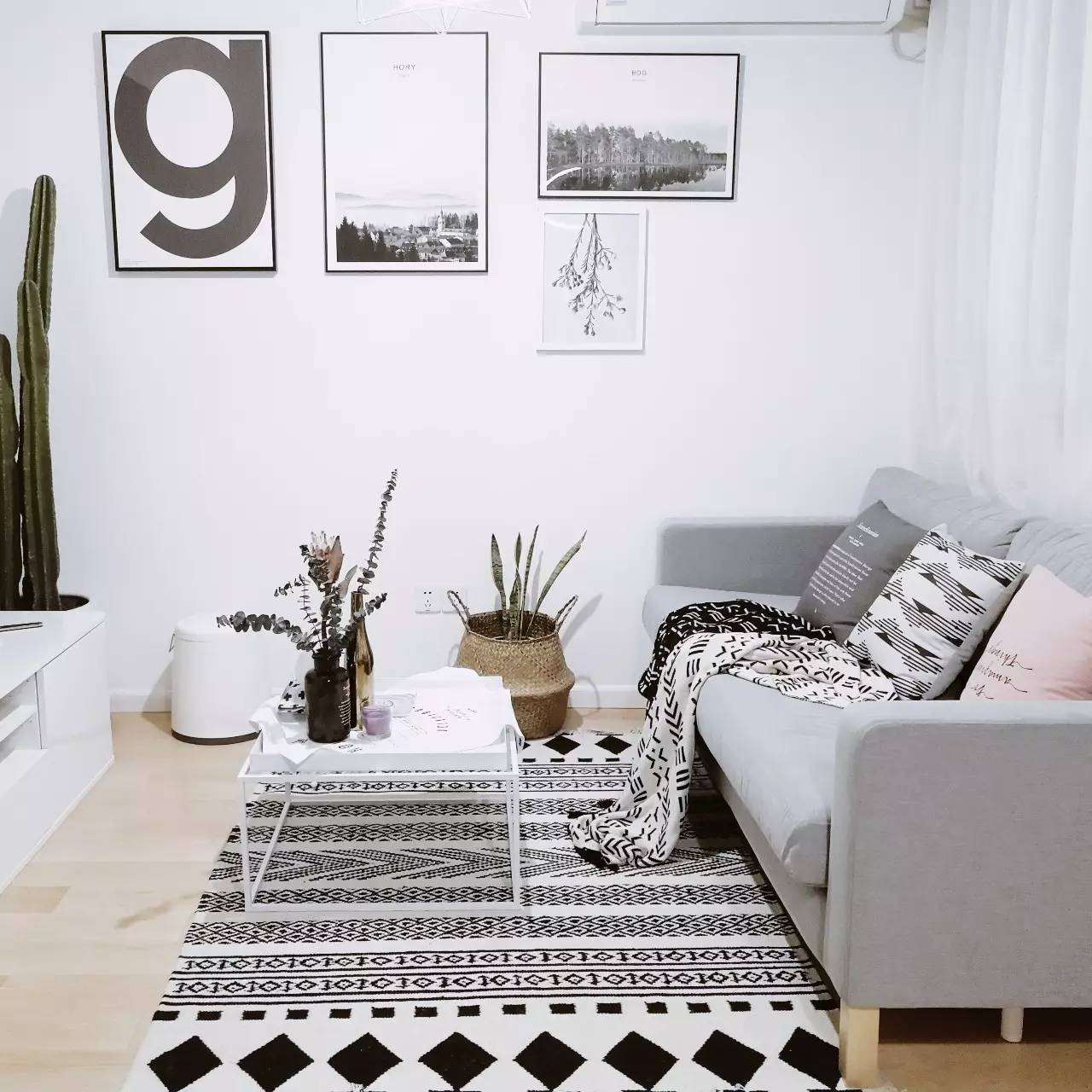 她改了两扇门，将家装成网图中的模样