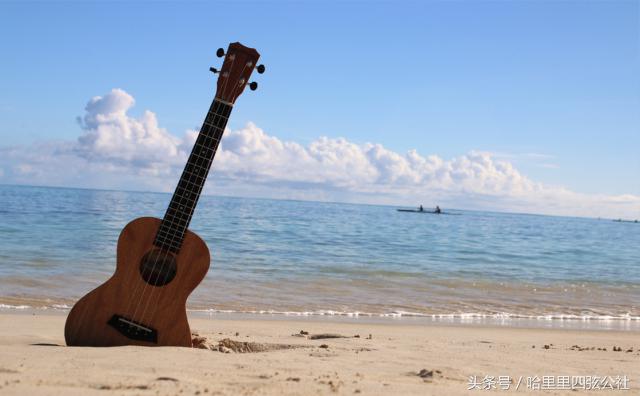 介绍一下尤克里里早期发展史