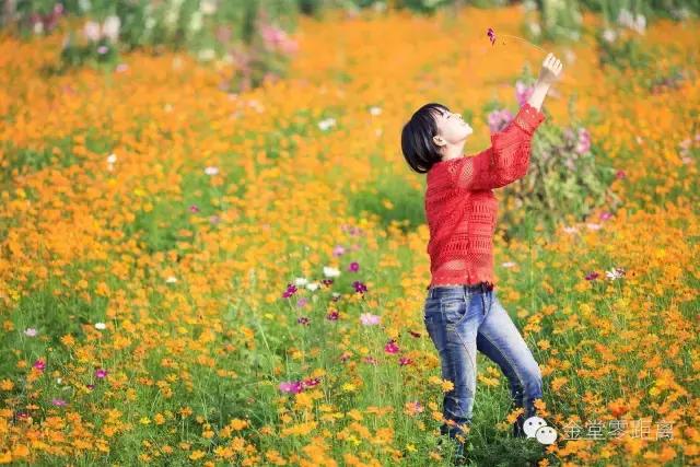 周末踏青最美樱花谷,周末乡村游田园美景醉游人