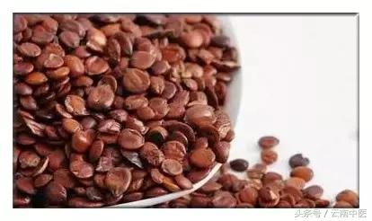 安神助眠药膏 (天然助眠药)