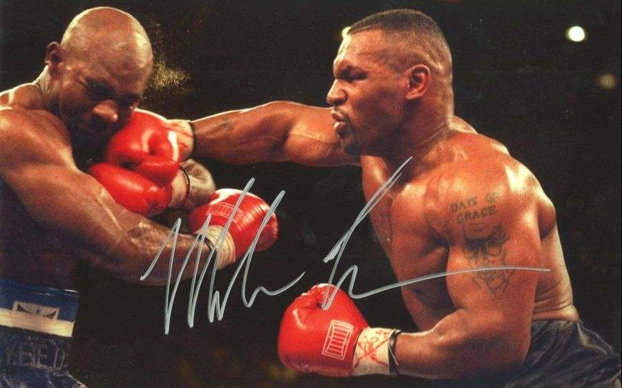 武术的精髓四个字总结,武术真谛