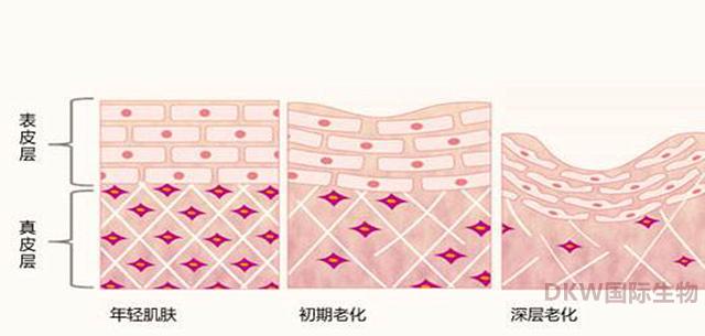 逆龄抗衰超声刀,逆龄超声刀效果怎么样