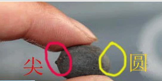 碗莲发完芽之后应该怎么养殖,用碗莲的种子养殖多久可以开花